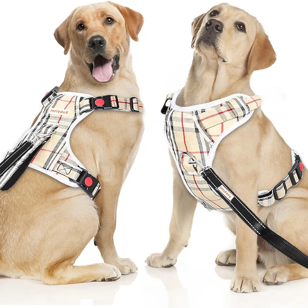 Babyltrl new No Pull Dog Harness leash and collar xl
